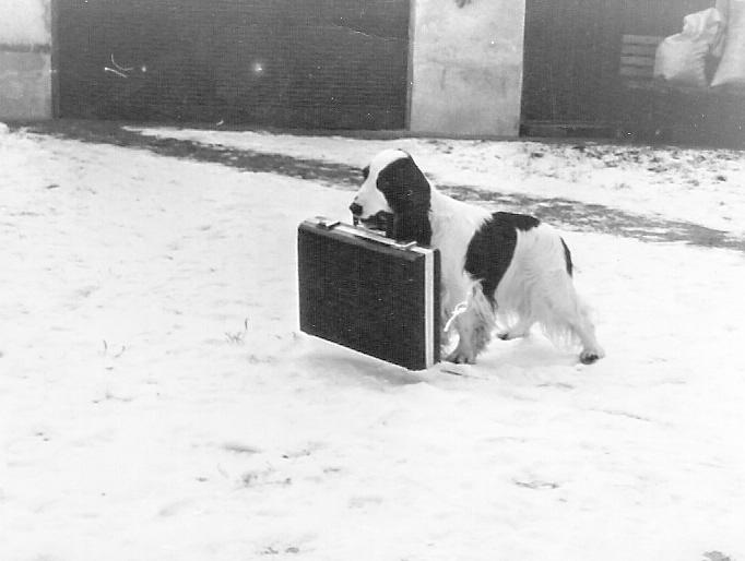 8 - Harold a studia na prumyslovce.jpg